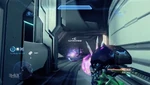 Dg needlerkill