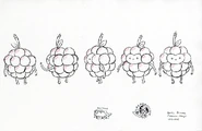 Modelsheet wildberryprincessroughturn