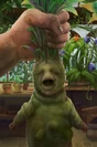 Mandragore Pottermore.jpg