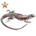 Item desertiguana bronze 01