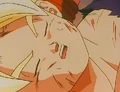 Hatchyack gohan