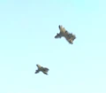 Kradin fighter.jpg