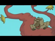 Olive Baboon