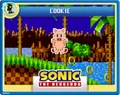 Cookie Online Card.png