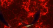 Poison Dragon's Guard