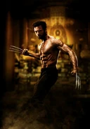The Wolverine - Wolverine