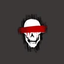 Raiders heraldry DA2