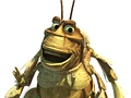 Moltbugslife.png
