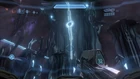 Forerunner 7