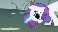 Rarity scanning S1E19