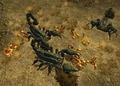 Radscorpions Gulch.jpg