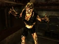 Vault 34 overseer.jpg