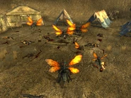 Cazadores tribal village
