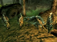 Giant rats BFC