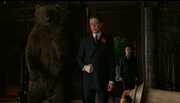 Nucky-Owen-Bear