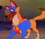 Flash the Wonderdog
