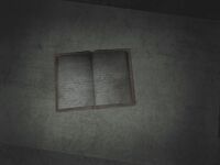 Prison diary