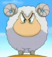 Sheep Amon