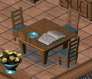 Zoe's diary