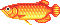 Arowana (Wild World)