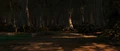 Eastern swamps.png