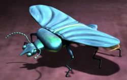 Slug-beetle2
