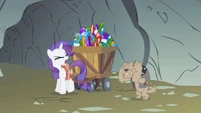 Rarity why do I S1E19