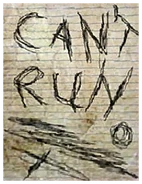 Page Can't Run