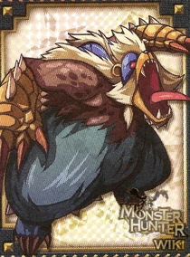 Card Master 23