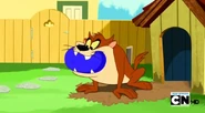 Taz ball