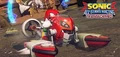 Knuckels d.jpg