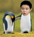 117-1-.gif