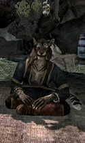 Skyrim K Ma'dran
