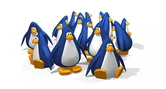Penguin Chat 3D Penguins