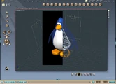 Penguin image3