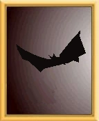 Character Bats