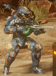 H4carbine held
