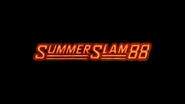 WWE-SummerSlam-Logo.5