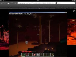 Nether