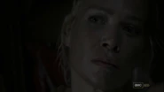 TWD11
