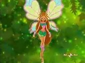 Flora sophix.jpg