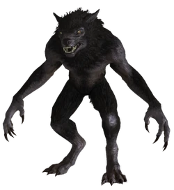 Werewolf from Skyrim