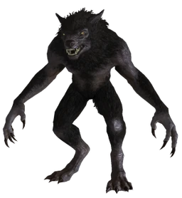 Werewolf from Skyrim