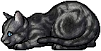 Jayfeather.kit.png (6 KB) Jayfeather.kit