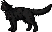 Yellowfang.rogue