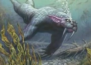 AquaticFormTCG