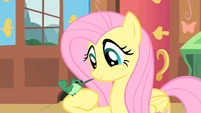 Fluttershy with Hummingway on arm S1E22