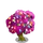 Jelly Bean Tree-icon