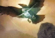 FlightFormTCG