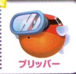 Blipper KRtDL